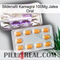 Sildenafil Kamagra 100Mg Oral Jelly new12